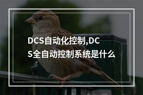 DCS自动化控制,DCS全自动控制系统是什么