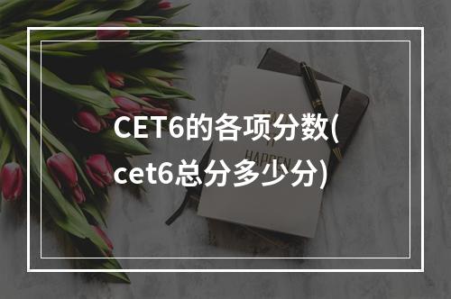 CET6的各项分数(cet6总分多少分)