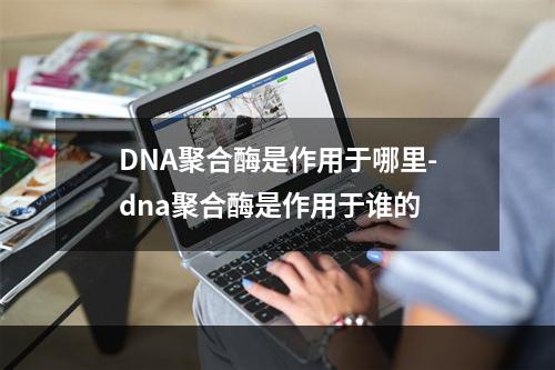 DNA聚合酶是作用于哪里-dna聚合酶是作用于谁的