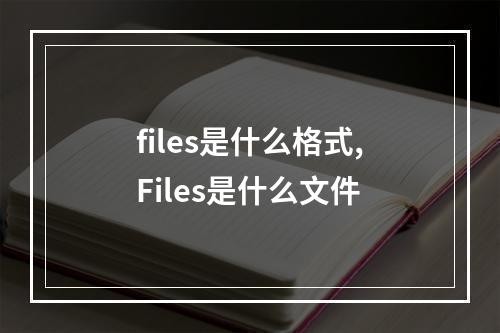 files是什么格式,Files是什么文件