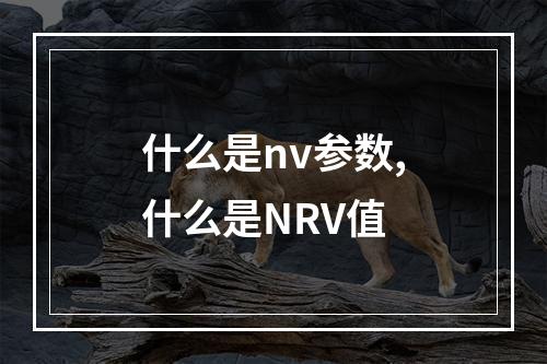 什么是nv参数,什么是NRV值