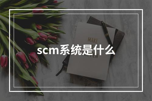 scm系统是什么