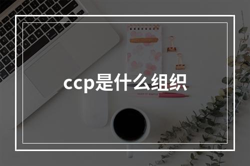 ccp是什么组织