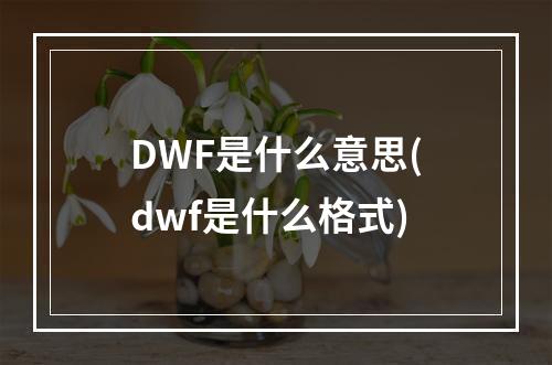 DWF是什么意思(dwf是什么格式)