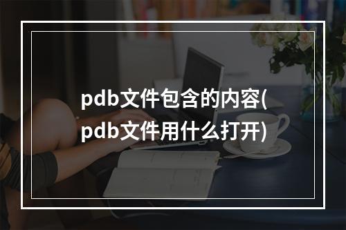 pdb文件包含的内容(pdb文件用什么打开)