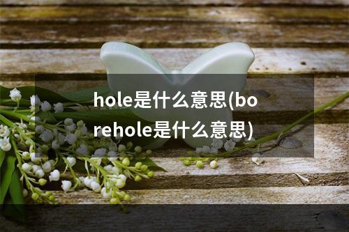 hole是什么意思(borehole是什么意思)