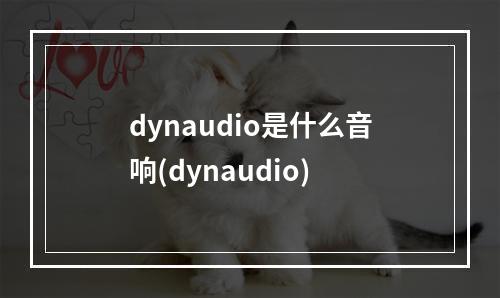 dynaudio是什么音响(dynaudio)