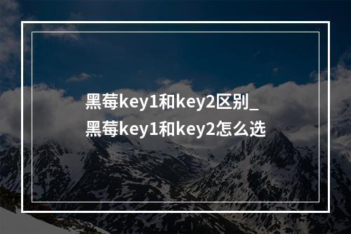 黑莓key1和key2区别_黑莓key1和key2怎么选