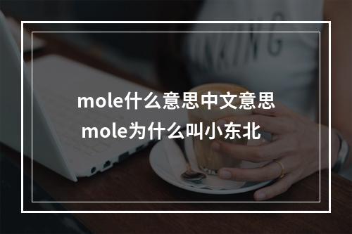 mole什么意思中文意思 mole为什么叫小东北