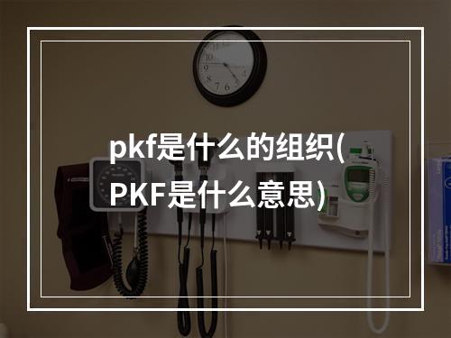 pkf是什么的组织(PKF是什么意思)
