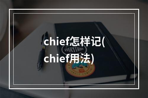 chief怎样记(chief用法)