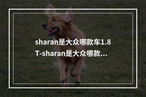 sharan是大众哪款车1.8T-sharan是大众哪款车
