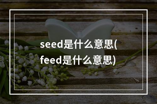 seed是什么意思(feed是什么意思)
