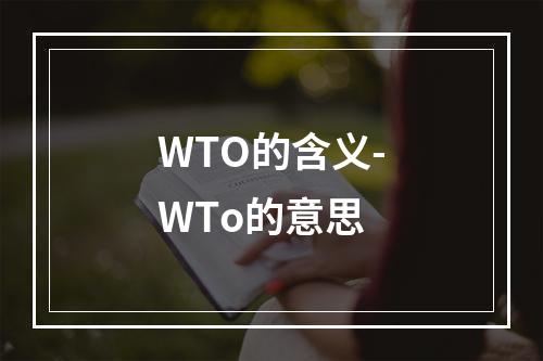 WTO的含义-WTo的意思