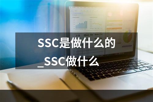 SSC是做什么的_SSC做什么