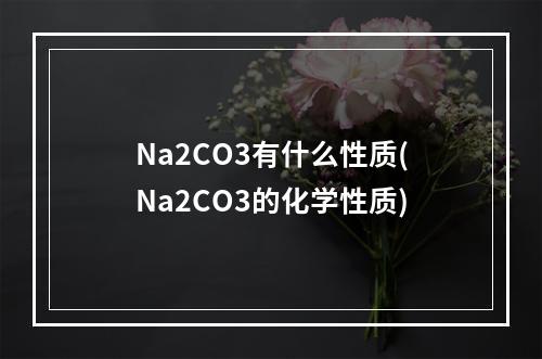 Na2CO3有什么性质(Na2CO3的化学性质)