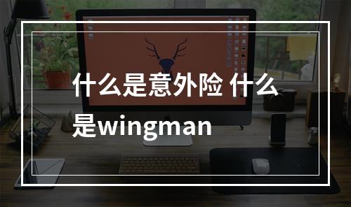 什么是意外险 什么是wingman