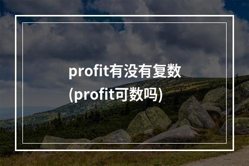 profit有没有复数(profit可数吗)