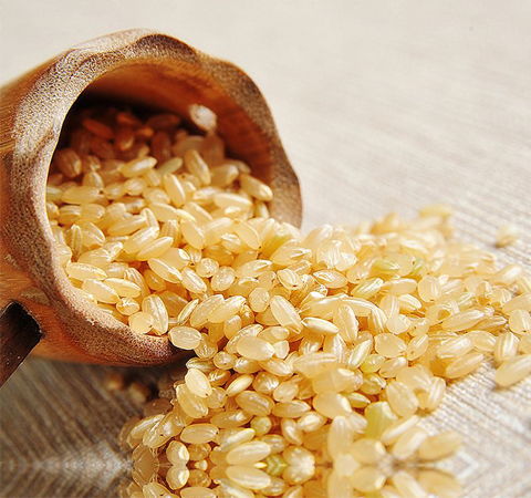 燕麦米的功效与作用,糙米的功效与作用