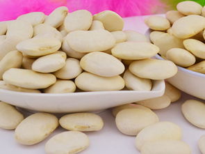 白扁豆的功效与作用及副作用